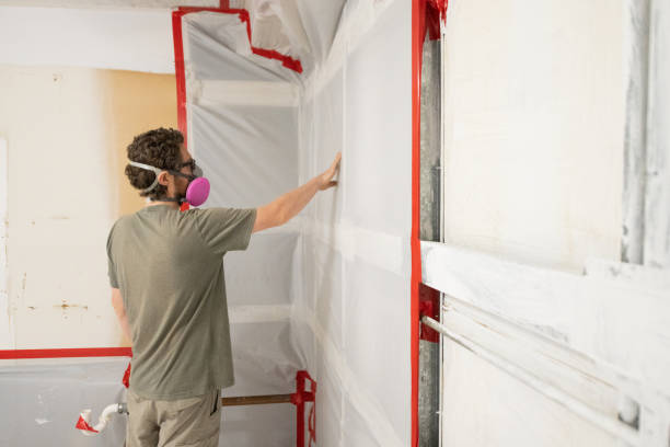 Best Mold Removal for HVAC Installations  in Richland, MO