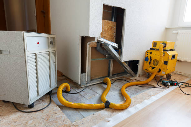 Best Attic Mold Removal  in Richland, MO